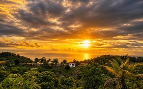 Pura Natura Lodge Manuel Antonio